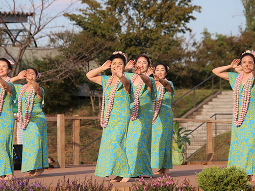 Hoaloha Hula Studio Hoaloha Hula Studio