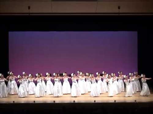 Ke ʻOlu Makani Lei Nā Hōkū O Ka Lani Ke ʻOlu Makani Lei Nā Hōkū O Ka Lani