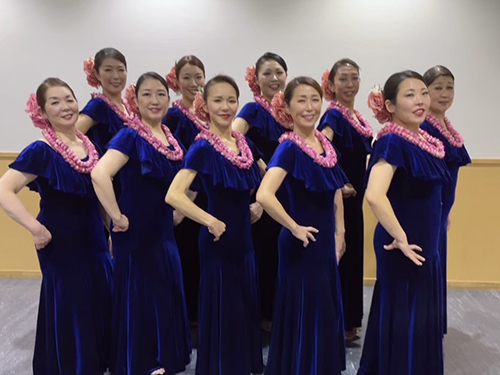 LeaLea Hula Studio LeaLea Hula Studio